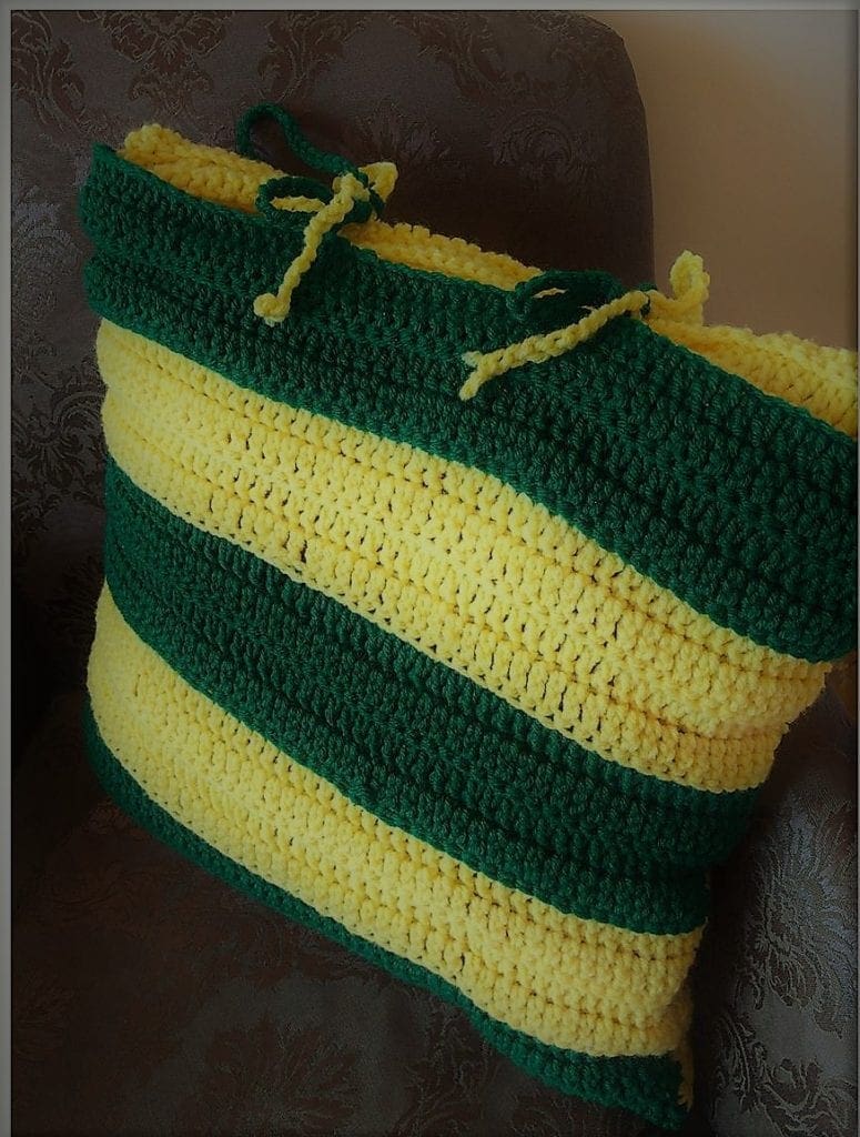 Green and Gold Pillow