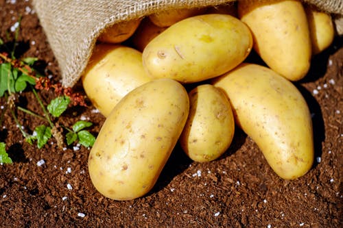 Fresh Potatoes