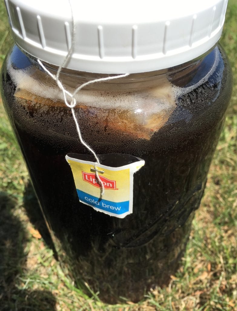 Sun tea after two hours steeping