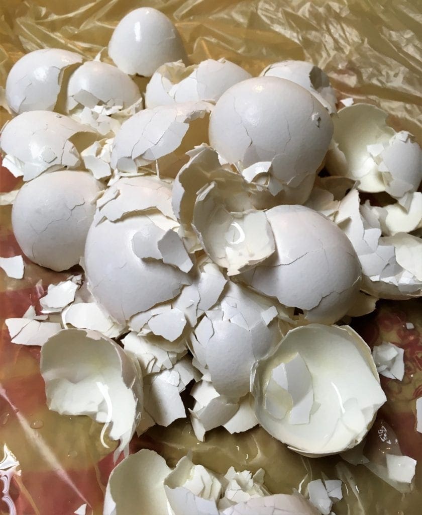 Egg Shells