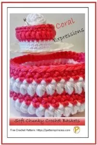 Coral Expressions Soft Chunky Crochet Baskets