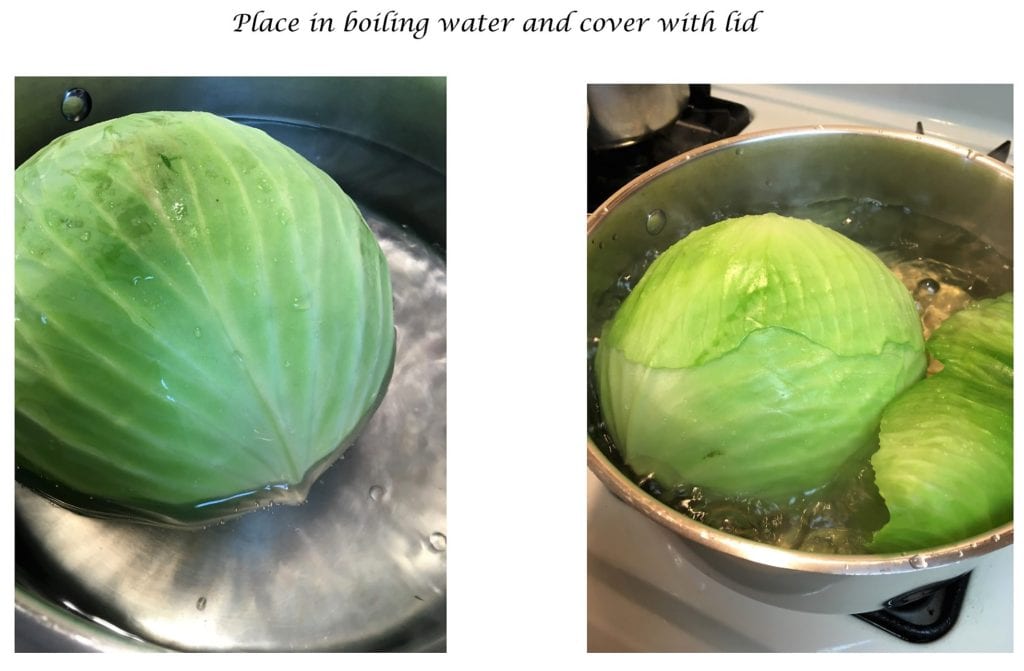 Boiling Head of Cabbage