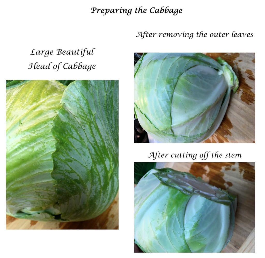 Preparing the cabbage
