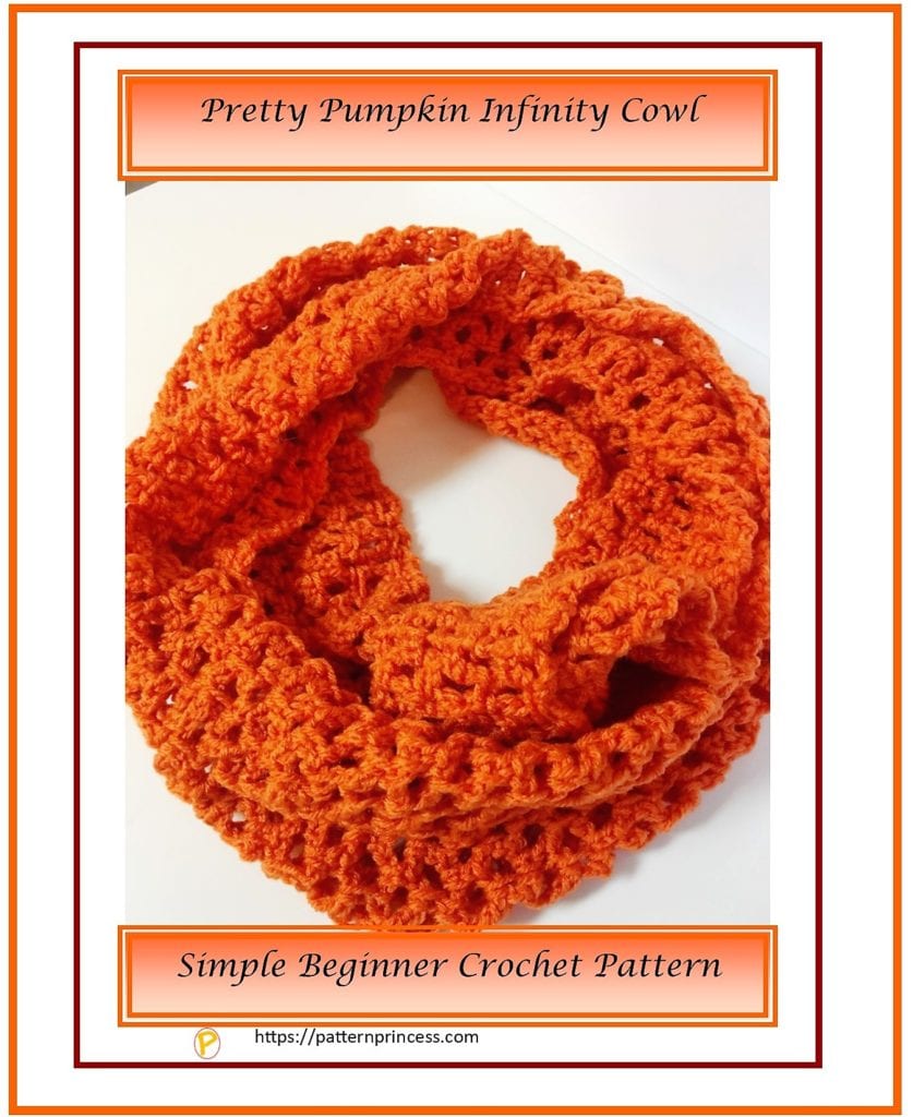 Pretty Pumpkin Infinity Cowl 1