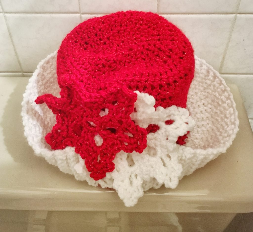 Christmas hat toilet paper cover