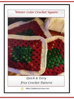 Winter Color Crochet Square 1