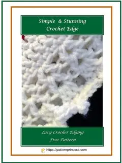 Simple and Stunning Crochet Edge 1