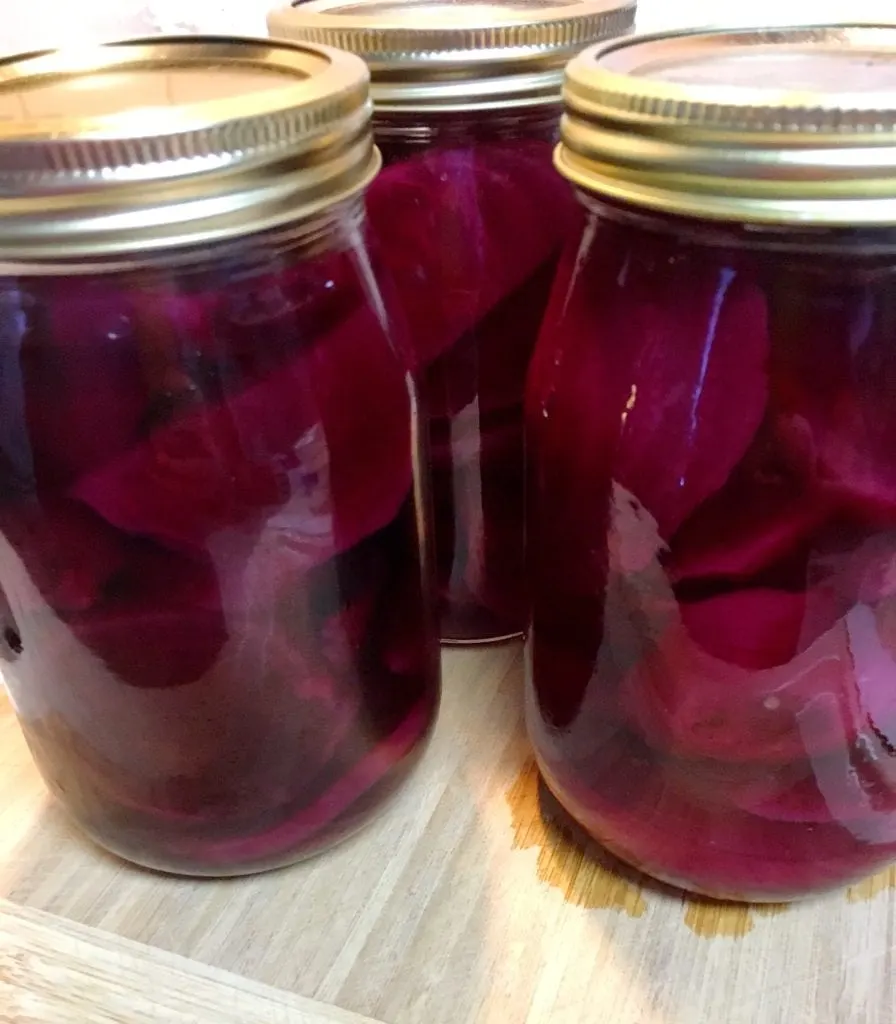 Canned Pickled Beets