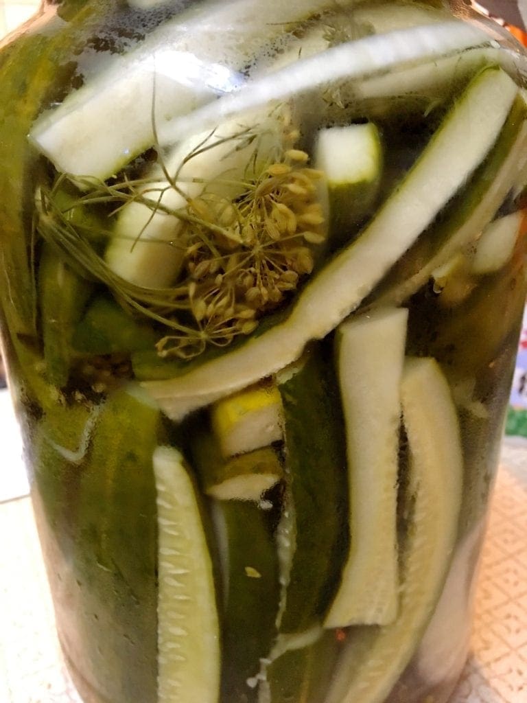 Refrigerator Dill Pickles