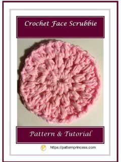 Crochet Face Scrubbie 1