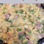 Cold Ham Pasta Salad with Creamy Dressing