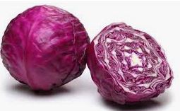 Head of Purple Cabbage