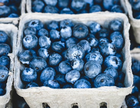 Fresh-Blueberries