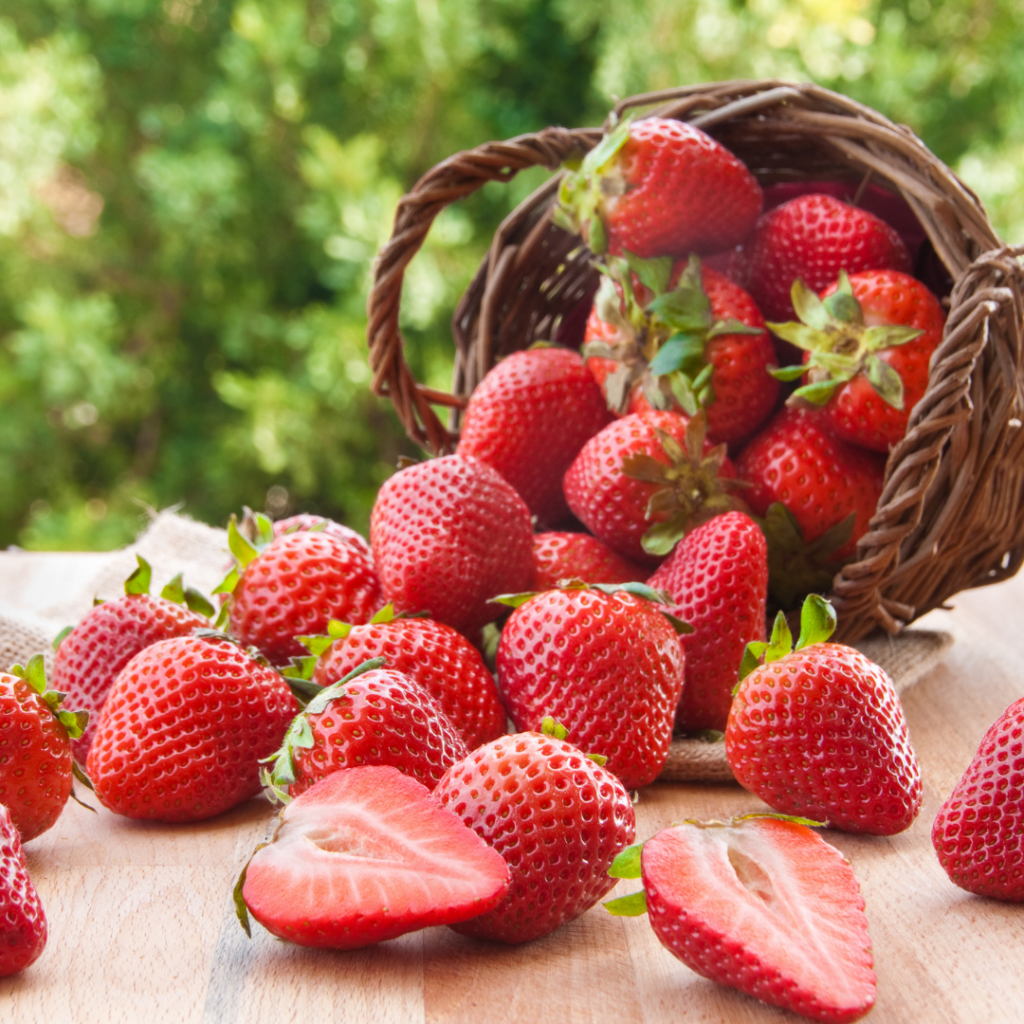 Fresh Juicy Strawberries