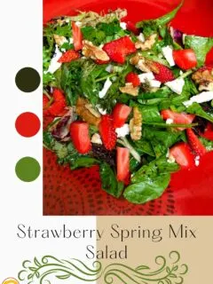 Strawberry Spring Mix Salad