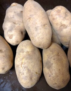 Russet Potatoes for Baking