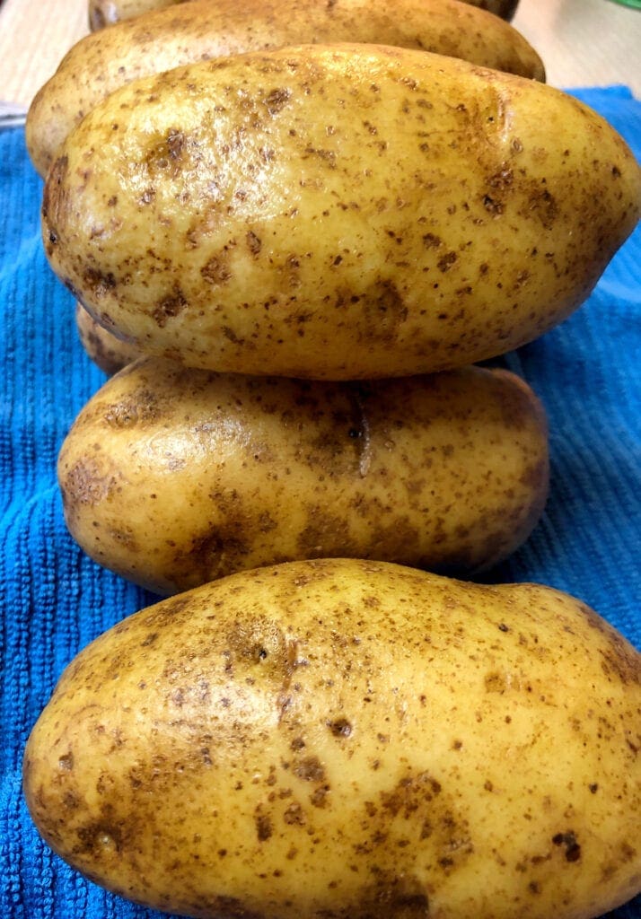 Cleaned Russet Potatoes Stacked