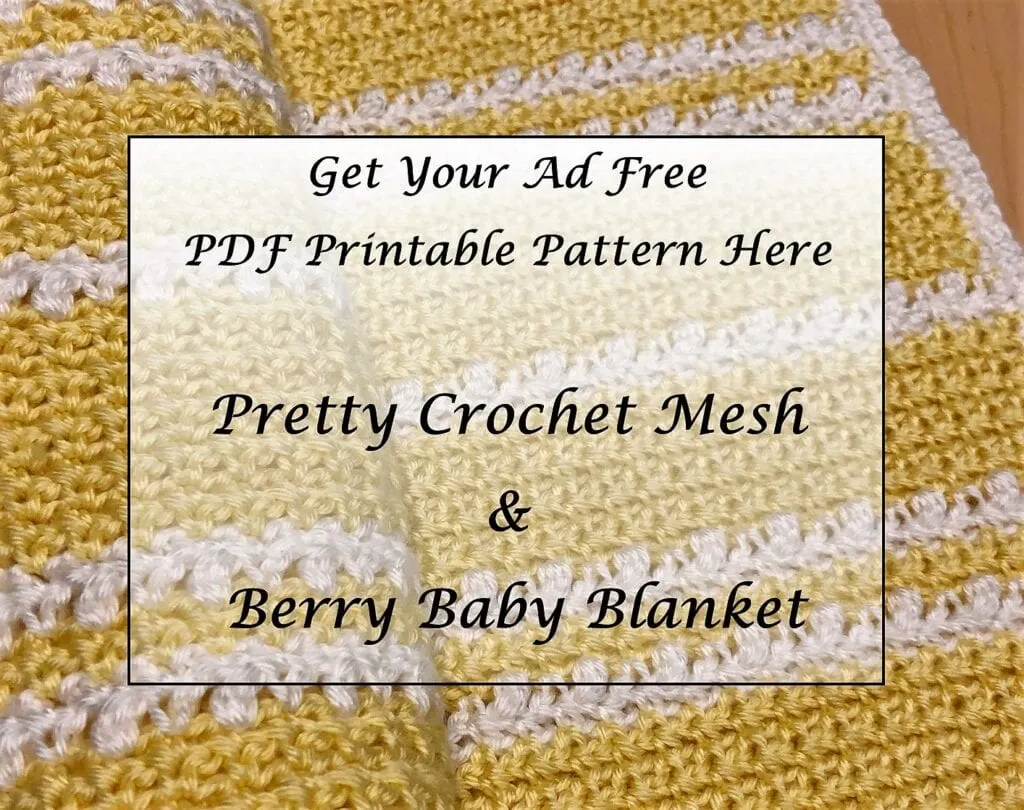 Pretty Crochet Mesh and Berry Baby Blanket Printable Pattern