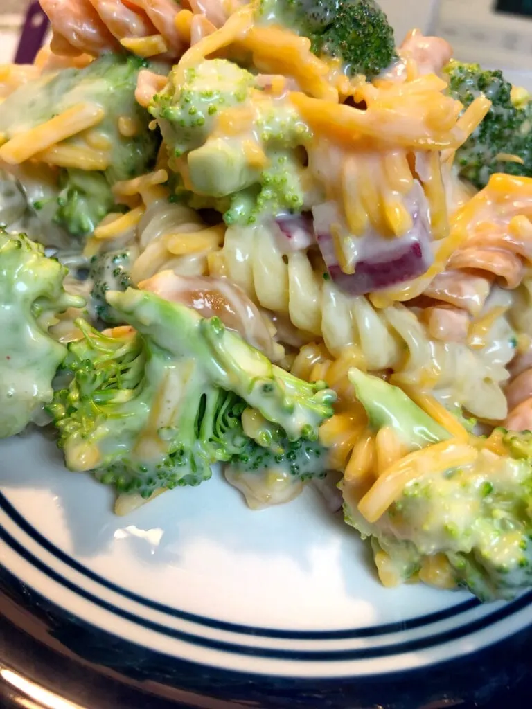 Fresh Tri-Colored Pasta Salad with Cheddar and Broccoli Served