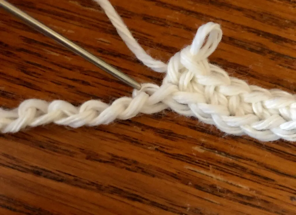 Needle is Pointing to the Back Bump of the Crochet Chain Stitch