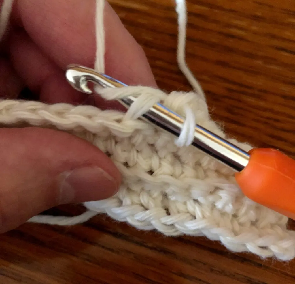 Inserting the Crochet Hook into the Back Loop of the Stitch