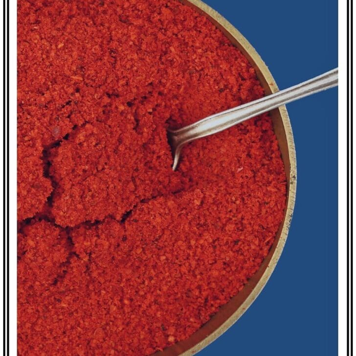 Chili Powder Spice Mix Pattern Princess