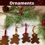 Applesauce Cinnamon Ornaments