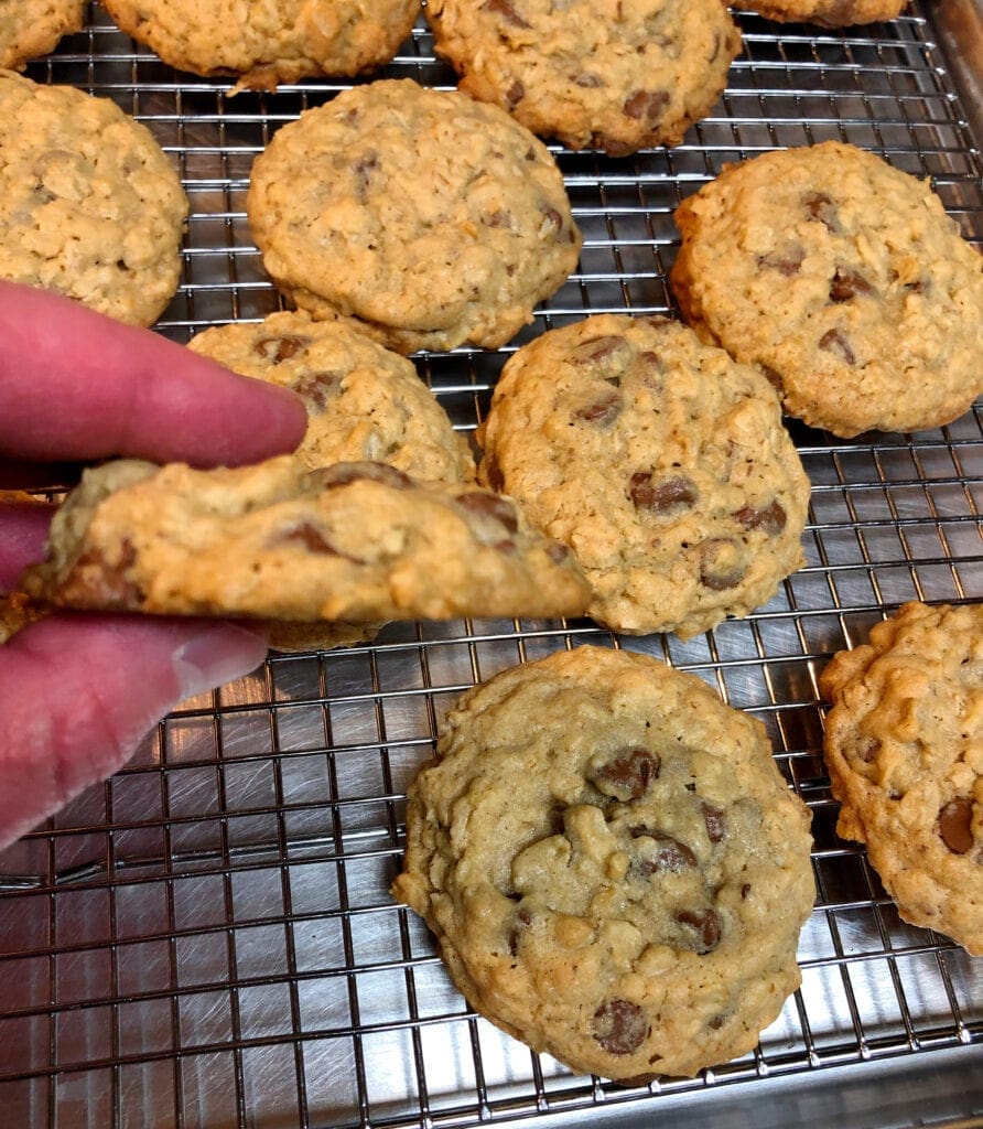 Bakery Style Oatmeal Cookie