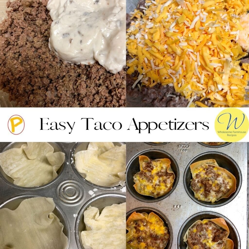 Easy Taco Appetizers