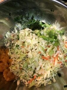 Shredded Cabbage, Fruit, Cilantro, Green Onion