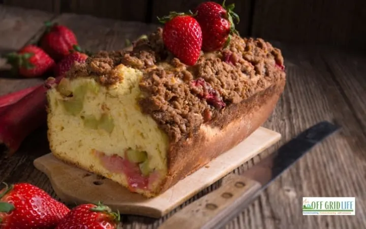 Easy-Strawberry-Rhubarb-Coffee-Cake-Recipe anoffdridlife