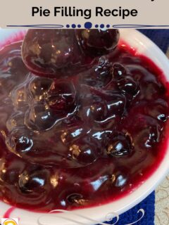 How to Make Blueberry Pie Filling Recipe