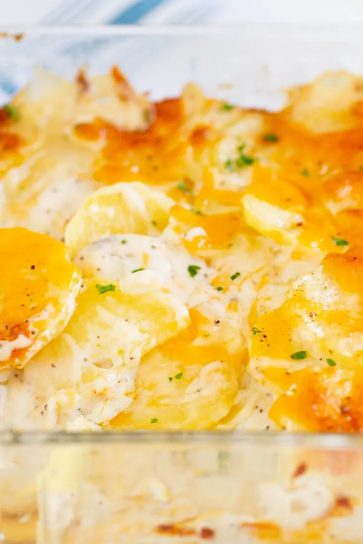 The Best Scalloped Potatoes with Mushroom Soup