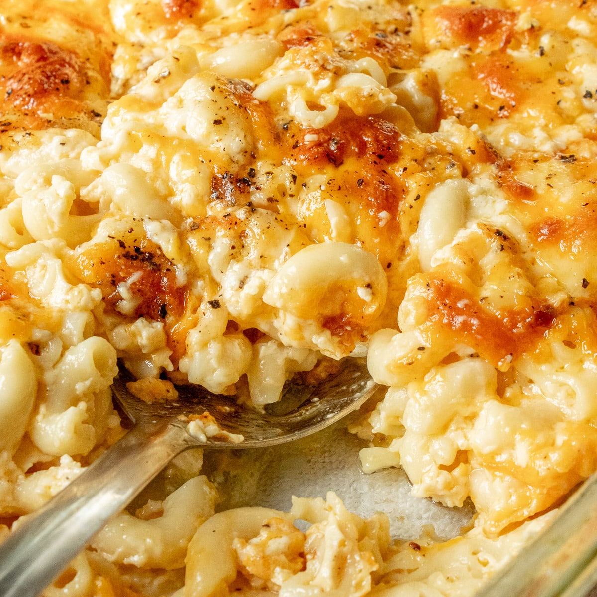 southern-mac-and-cheese-recipe-with-evaporated-milk