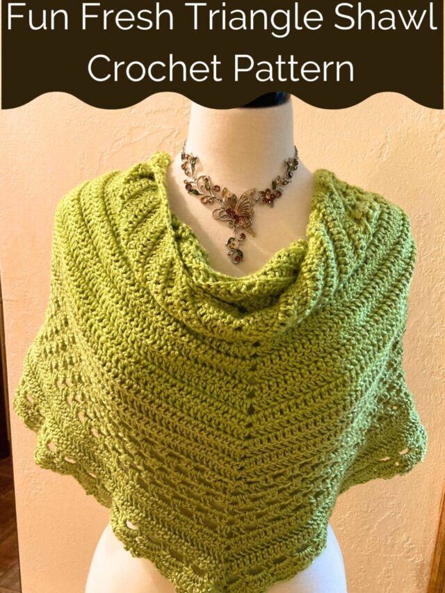 Triangle Shawl Free Crochet Pattern