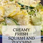 Creamy Fresh Squash and Zucchini Salad