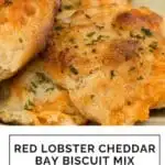 Red Lobster Cheddar Bay Biscuit Mix Copycat Recipe