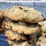 Homemade Cranberry Pecan Cookies A Chewy, Festive Treat