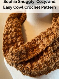 Sophia Snuggly, Cozy, and Easy Cowl Crochet Pattern